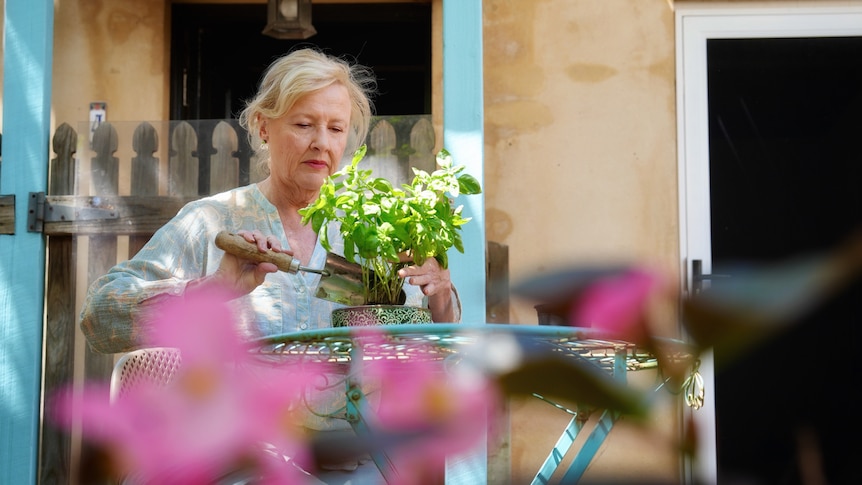 Linda in her garden potting a basil plant an a small outdoor table with pink flowers in the foreground.  