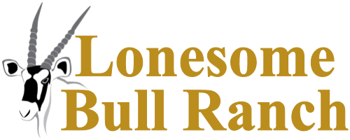 Lonesome Bull Ranch