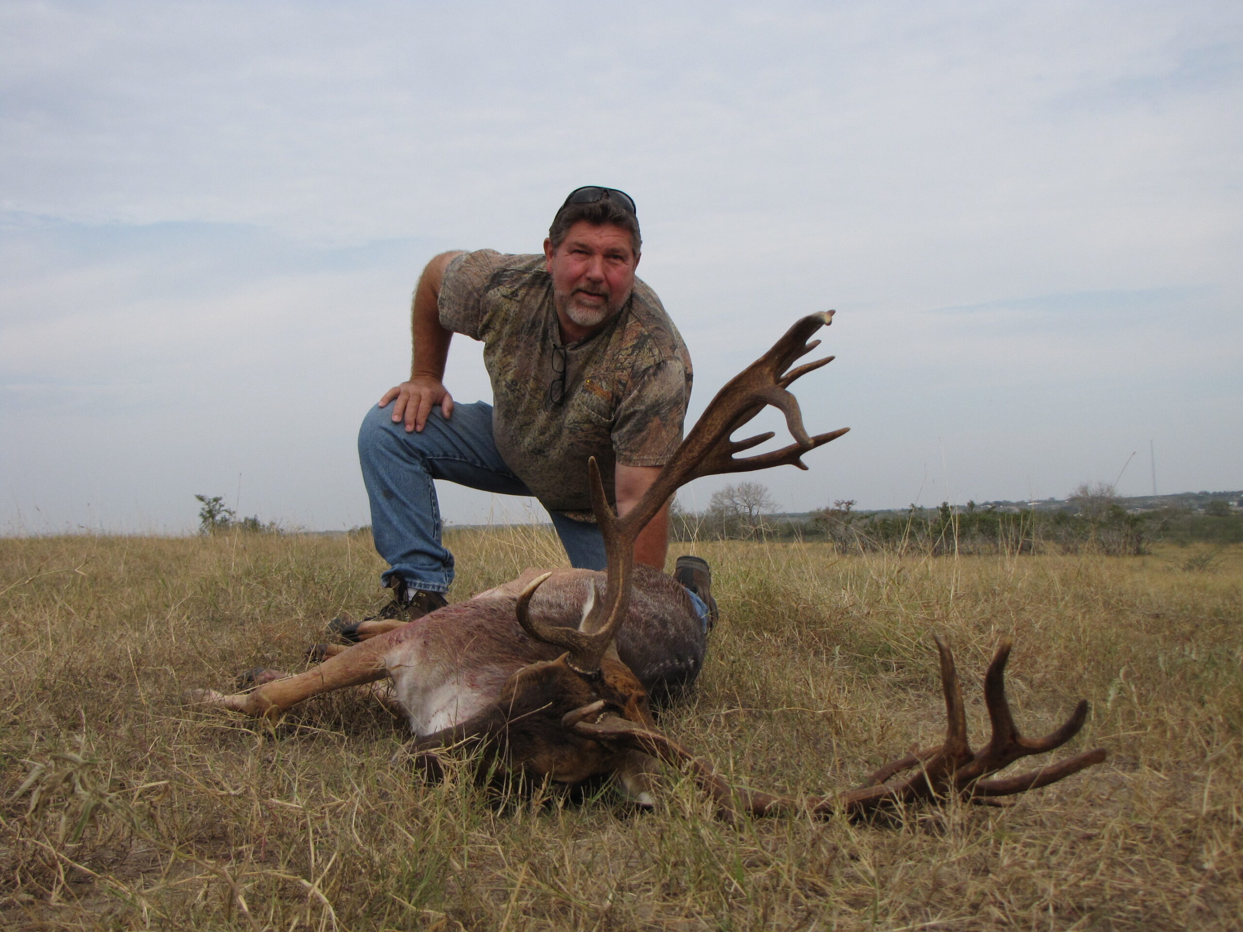 Trophy Fallow Deer Hunting