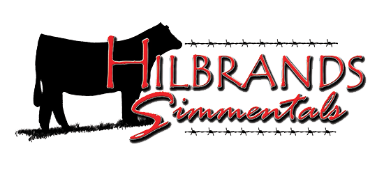 Heifer Logo - Hilbrand Simmentals - Predictability Through Top Genetics, Donor ...