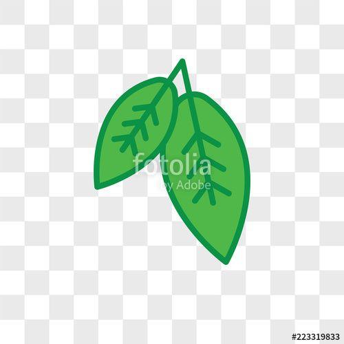 Leaf Transparent Logo - Leaf vector icon isolated on transparent background, Leaf logo ...