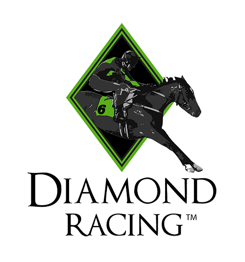 Racehorse Logo - Racehorse Syndicates - Diamond Racing