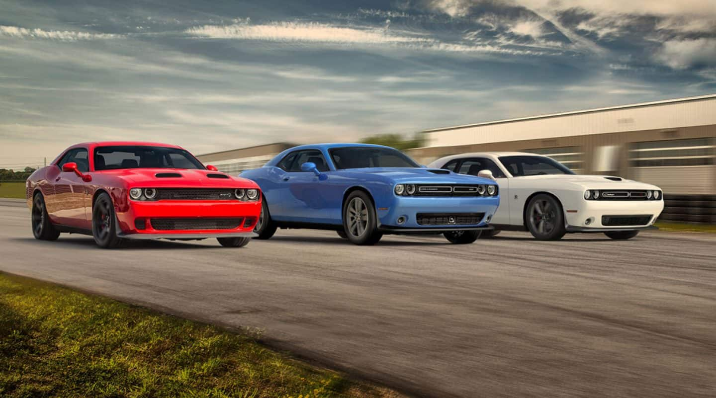 Black and White Dodge Hellcat Logo - 2019 Dodge Challenger - Unmistakable Muscle