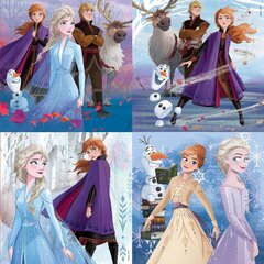 Головоломка Frozen II, 4 шт. цена и информация | Пазлы | 220.lv