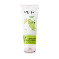 Botaniqa Show Line Smooth Detangling šampūns suņiem 250ml cena un informācija | Kosmētiskie līdzekļi dzīvniekiem | 220.lv