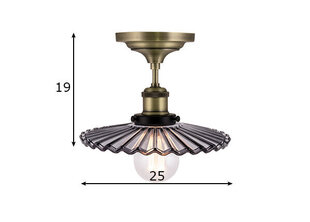 Griestu lampa Cobbler, antīka misiņa toņa/dūmakaina, 60 W cena un informācija | Griestu lampas | 220.lv