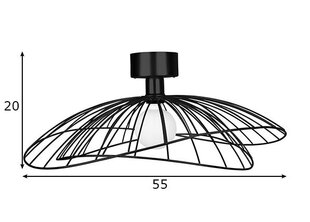 Globen Lighting lampa Ray cena un informācija | Griestu lampas | 220.lv