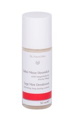 Rullīšu dezodorants antiperspirants Dr. Hauschka Sage Mint 50 ml cena un informācija | Dezodoranti | 220.lv