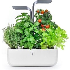 Veritable Connect Indoor Garden Infinity cena un informācija | Diedzēšanas trauki, augu lampas | 220.lv