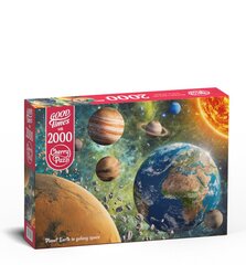 Пазл CherryPazzi Planet Earth in Galaxy 2000 д. цена и информация | Пазлы | 220.lv