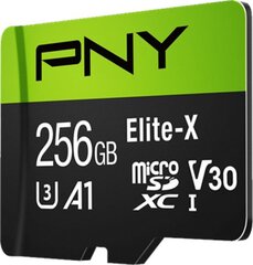 PNY P-SDU256U3100EX-GE cena un informācija | Atmiņas kartes mobilajiem telefoniem | 220.lv