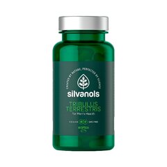 Uztura bagātinātājs Silvanols Tribulus Terrestris kaps. N100 cena un informācija | Vitamīni, preparāti, uztura bagātinātāji labsajūtai | 220.lv