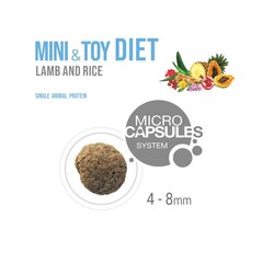 Forza10 Mini & Toy DIET pieaugušiem alerģiskiem mazo šķirņu suņiem ar jēru un rīsiem, 1,5 kg cena un informācija | Sausā barība suņiem | 220.lv