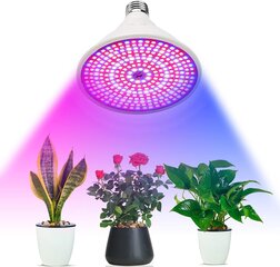 Lampa augiem Home&Living cena un informācija | Diedzēšanas trauki, augu lampas | 220.lv