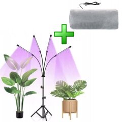 Grow Light cena un informācija | Diedzēšanas trauki, augu lampas | 220.lv