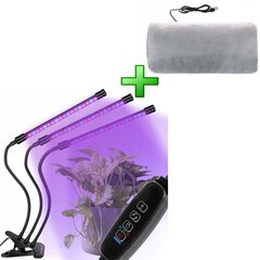 Grow Light cena un informācija | Diedzēšanas trauki, augu lampas | 220.lv