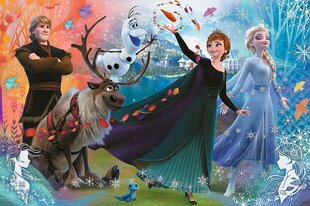 Пазл Trefl Junior Discover the world of Frozen, 160 деталей цена и информация | Пазлы | 220.lv