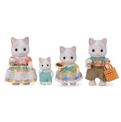 Figūriņu komplekts Sylvanian Families Kaķu ģimenes latte 05738 cena un informācija | Rotaļlietas meitenēm | 220.lv