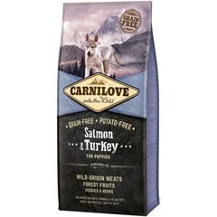 Carnilove Salmon&Turkey Puppy 12kg Kucēniem cena un informācija | Sausā barība suņiem | 220.lv