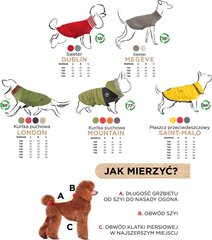 Джемпер для собак Zolux Dublin, разные размеры, серый цена и информация | Одежда для собак | 220.lv