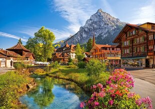 Puzle Castorland Kandersteg, Switzerland, 500 det. цена и информация | Пазлы | 220.lv