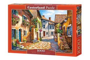 Puzle Puzzle Castorland Rue de Village, 1000 det. цена и информация | Пазлы | 220.lv