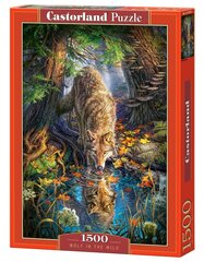 Puzle Puzzle Castorland Wolf in the Wild, 1500 det. цена и информация | Пазлы | 220.lv