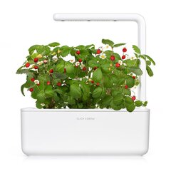 Click & Grow Smart Garden 3 cena un informācija | Diedzēšanas trauki, augu lampas | 220.lv