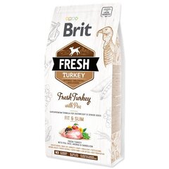 Brit Fresh Zemas Aktivitātes Suņiem Ar Tītaru Un Zirņiem, 2,5 Kg cena un informācija | Sausā barība suņiem | 220.lv