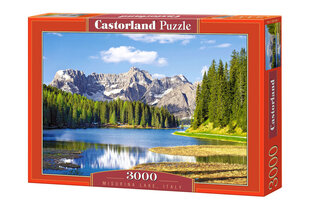 Puzle Puzzle Castorland, 3000 det. цена и информация | Пазлы | 220.lv