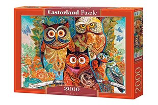 Пазл Castorland Owls, 2000 д. цена и информация | Пазлы | 220.lv