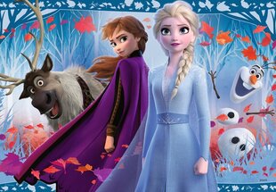 Пазл Ravensburger Холодное сердце 2 (Frozen 2) Путешествие в неизвестность, 2х12 частей, 5009 цена и информация | Пазлы | 220.lv