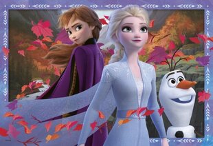 Пазл Ravensburger Ледяная страна 2 (Frozen 2) Ледяные приключение, 2х24 д, 5010 цена и информация | Пазлы | 220.lv