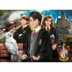 Пазл в чемоданчике 61882 Гарри Поттер (Harry Potter), 1000 д. цена и информация | Пазлы | 220.lv