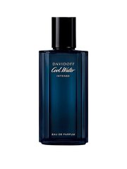 Parfimērijas ūdens Davidoff Cool Water Intense EDP vīriešiem 75 ml cena un informācija | Vīriešu smaržas | 220.lv