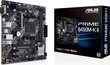 Asus 90MB1600-M0EAY0 cena un informācija | Mātesplates | 220.lv