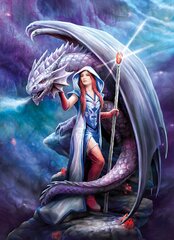 Пазл Anne Stokes Дракон маг/Dragon Mage, 1000 деталей цена и информация | Пазлы | 220.lv