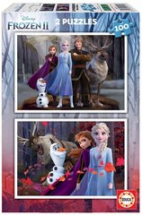 Головоломка Frozen, 2 шт. x 100 частей цена и информация | Пазлы | 220.lv