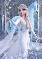 Головоломка Frozen, 2 шт. x 500 деталей цена и информация | Пазлы | 220.lv