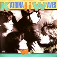 Primary photo for Katrina & the Waves: Walking on Sunshine