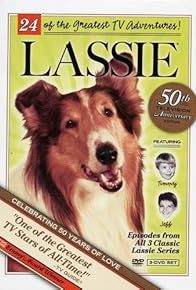 Primary photo for Lassie