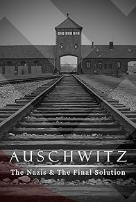 Primary photo for Auschwitz: Inside the Nazi State