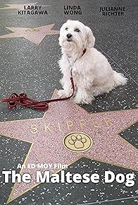 Primary photo for The Maltese Dog