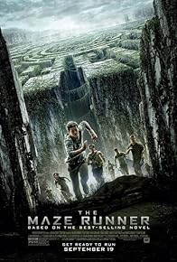 Primary photo for The Maze Runner