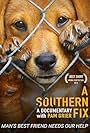 A Southern Fix (2017)