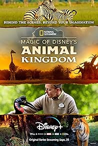 Primary photo for Magic of Disney's Animal Kingdom