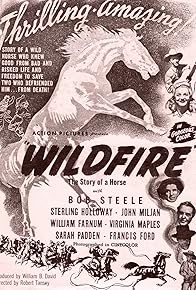 Primary photo for Wildfire