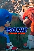 Sonic Drone Home