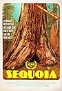 Sequoia (2014)