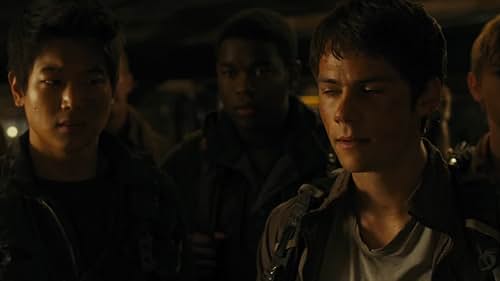 Maze Runner: The Scorch Trials: You Came From Wicked